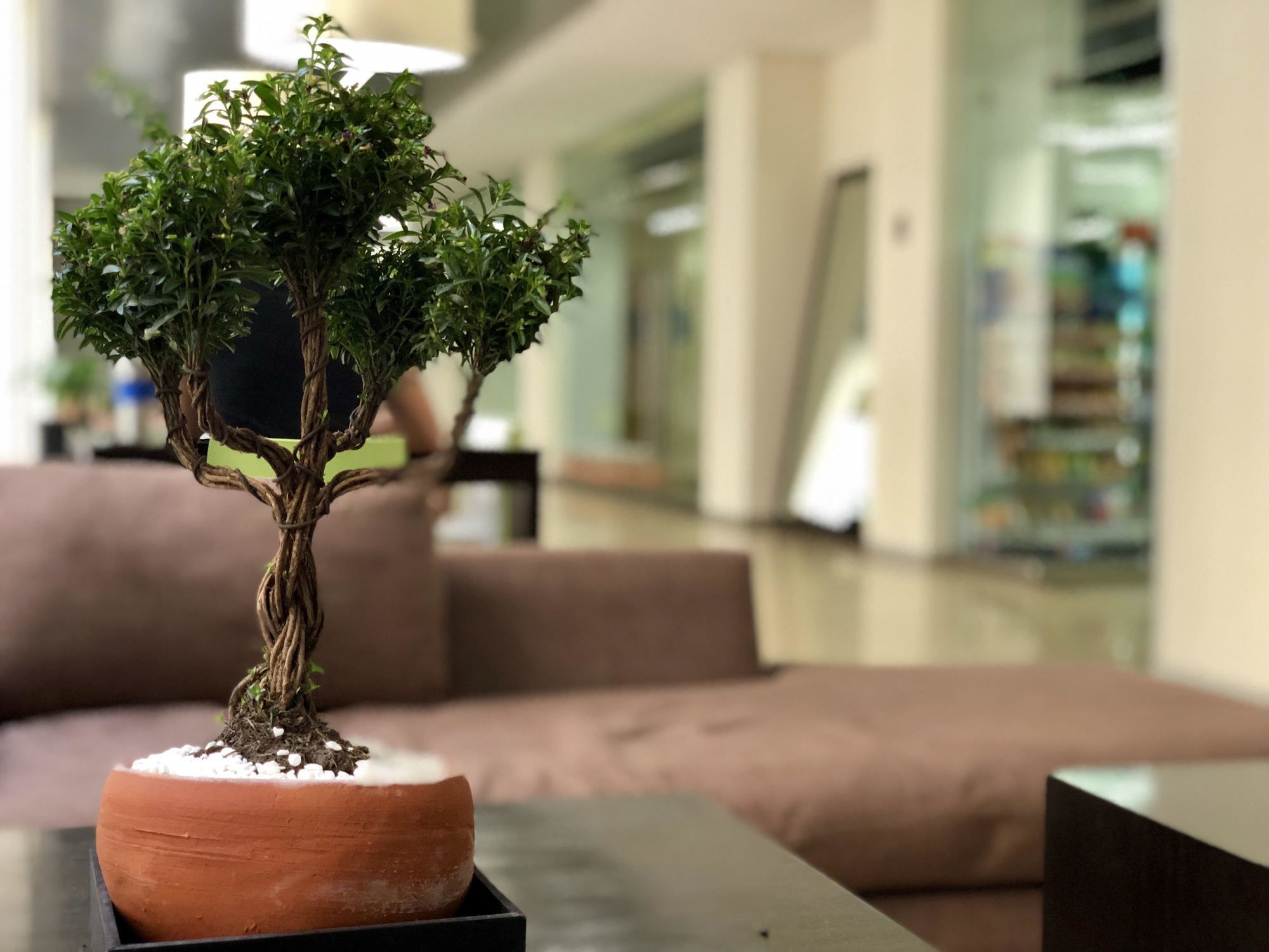 Boutique Apartment Pbk Мехико Экстерьер фото